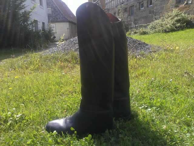 Reitstiefel Petrie Perfekt